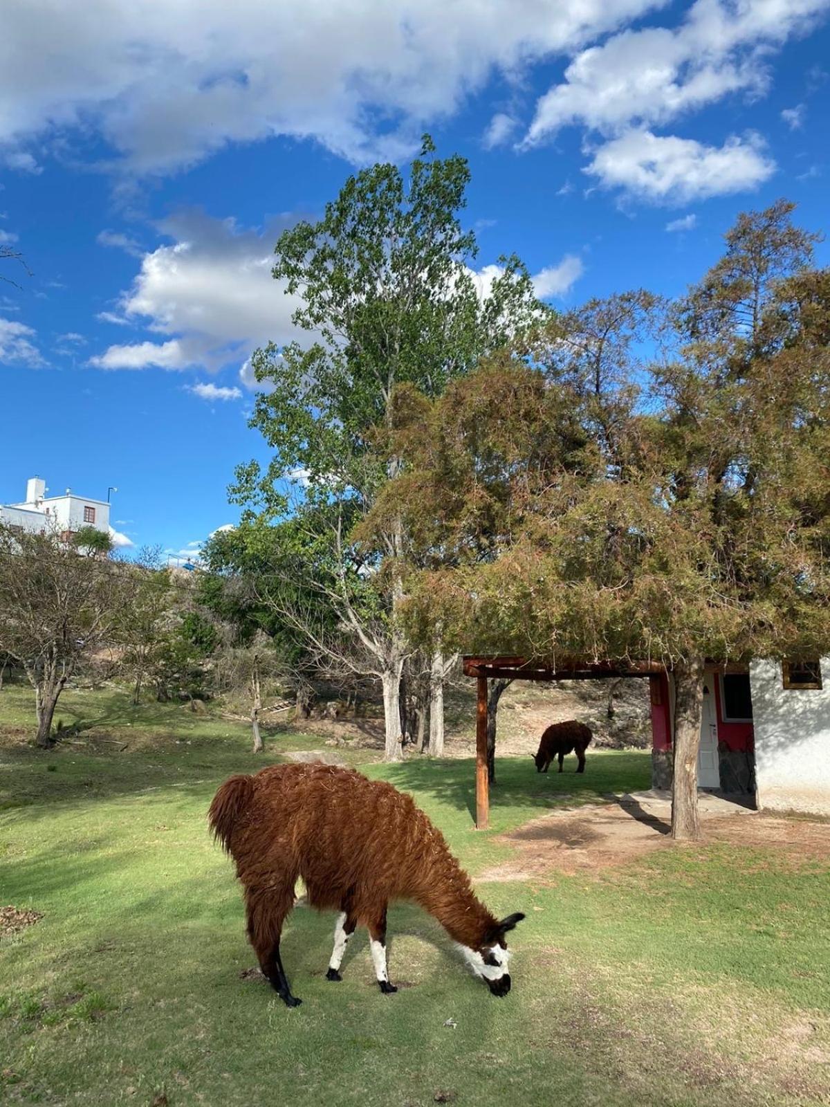 Y Toboganes Rancho La ñata