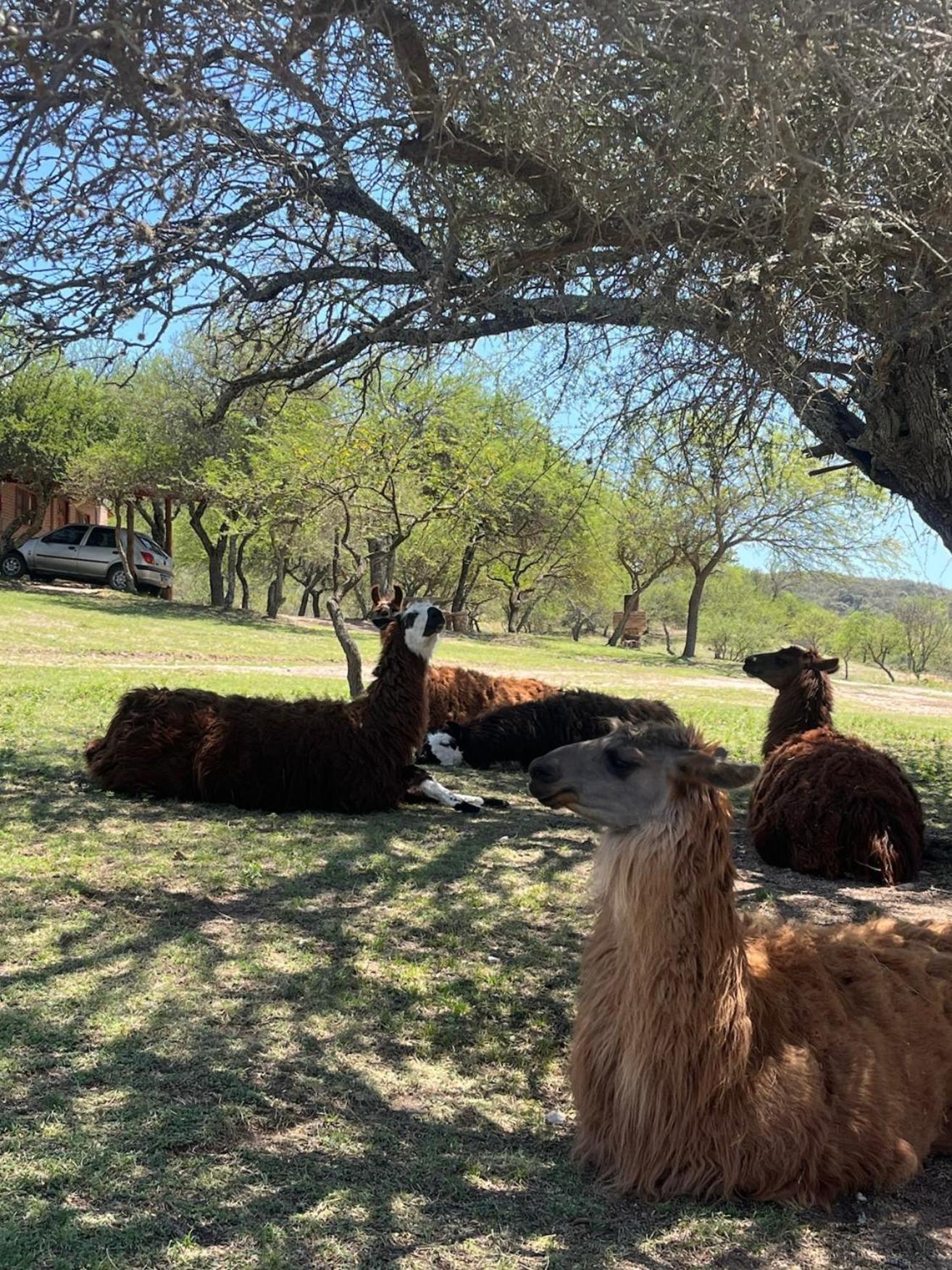 Y Toboganes Rancho La ñata Chalet *